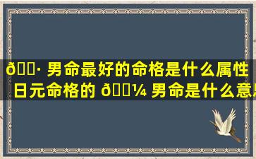 🌷 男命最好的命格是什么属性「日元命格的 🐼 男命是什么意思」